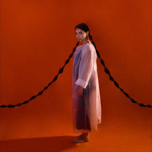 Cover for the album Vou Ficar Neste Quadrado by Ana Lua Caiano.